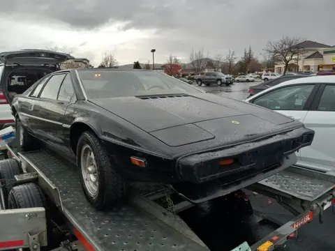 Lotus Esprit S1 chassis 597H registration 284 XCQ historical archive photograph 6